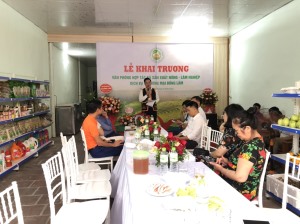 Khai trương văn phòng hợp tác sản xuất nông lâm nghiệp dịch vụ thương mại xã Đồng Lâm