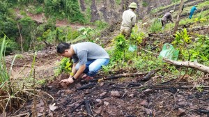 Xã Đồng Lâm: Trồng rừng gỗ lớn để phát triển kinh tế bền vững