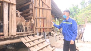 Xã Quảng La: Lan tỏa phong trào Nông dân làm kinh tế giỏi