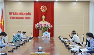 Chủ tịch UBND tỉnh cho ý kiến về quy hoạch phân khu thuộc TP Hạ Long