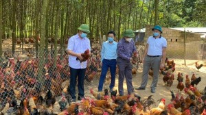 Hạ Long thực hiện tốt 5 nội dung của Phong trào “Toàn dân Đoàn kết Xây dựng đời sống văn hóa”