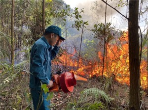 Tăng cường công tác PCCC rừng trên địa bàn Thành phố mùa hanh khô năm 2022-2023