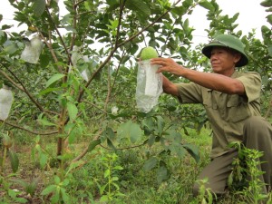 Hội Cựu chiến binh Thành phố Hạ Long với phong trào thi đua "Cựu chiến binh gương mẫu"