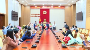 Công bố Quyết định về công tác cán bộ của UBND Thành phố