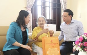 Phó Chủ tịch nước thăm, tặng quà Mẹ VNAH tại TP Hạ Long