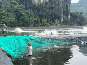 Ứng dụng khoa học kỹ thuật vào nuôi trồng thủy sản