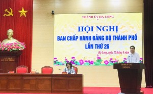 BCH Đảng bộ Thành phố: Tổng kết việc thực hiện thí điểm mô hình hoạt động của một số cơ quan, tổ chức 