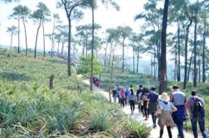 Đảm bảo an toàn cho du khách đến chùa Lôi Âm  