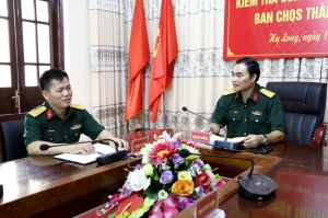 Cặp lãnh đạo toàn năng của Ban CHQS TP Hạ Long 
