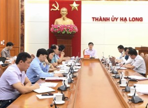 TP Hạ Long: Thu gần 400 tỷ đồng tiền sử dụng đất trong các hộ dân
