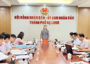 Đồng chí Vi Ngọc Bích, Ủy viên BTV Tỉnh ủy, Phó Chủ tịch Thường trực HĐND tỉnh Giám sát việc thực hiện các nghị quyết của HĐND 