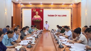 BTV Thành uỷ Hạ Long cho ý kiến về nội dung chương trình tại kỳ họp chuyên đề của HĐND Thành phố 