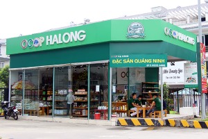 Nỗ lực thực hiện chương trình “Mỗi xã, phường một sản phẩm OCOP”