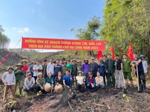 Đảng ủy Cơ quan chính quyền TP Hạ Long tham gia trồng rừng gỗ lớn tại xã Kỳ Thượng