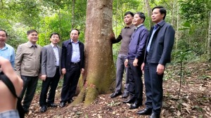 Đoàn công tác Ban kinh tế Trung ương đến thăm và khảo sát tại khu rừng tự nhiện được giao cho gia đình ông Triệu Tài Cao tại thôn Bằng Anh xã Tân Dân, thành phố Hạ Long