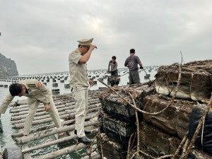 Tổ công tác liên ngành của Thành phố kiểm tra, xử lý các vi phạm về nuôi trồng thủy sản trái phép trên vịnh Hạ Long