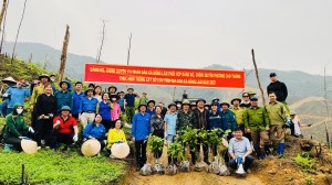 Phường Cao Thắng phối hợp với xã Đồng Lâm tổ chức Chương trình “trồng cây gỗ lớn”