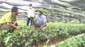 TP Hạ Long triển khai Nghị quyết số 06- NQ/TU ngày 17/5/2021 của Ban Chấp hành Đảng bộ tỉnh