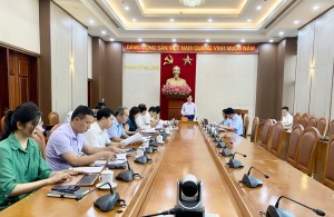 BTV Thành uỷ nghe báo cáo tiến độ xây dựng các sản phẩm du lịch 