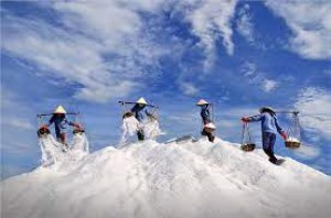 Thể lệ Triển lãm ảnh "Việt Nam qua ống kính nhiếp ảnh gia quốc tế" (lần 2)