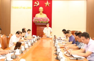 BTV Thành ủy nghe và cho ý kiến vào các hồ sơ nhiệm vụ quy hoạch phân khu, quy hoạch chung xây dựng các xã