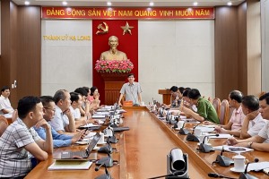 Thường trực Thành ủy giao ban công tác tuần, nghe và cho ý kiến một số nội dung quan trọng