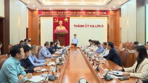 Thành phố Hạ Long: Quyết liệt Xử lý nghiêm việc vận chuyển, kinh doanh dăm gỗ gây ảnh hưởng môi trường