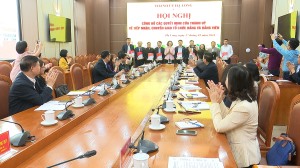 Thành uỷ Hạ Long: công bố các quyết định về tiếp nhận, chuyển giao tổ chức đảng và đảng viên