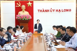 Thường trực Thành ủy nghe, cho ý kiến vào Đề án thu phí sử dụng tạm thời lòng đường để trông giữ xe trên địa bàn thành phố