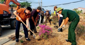 Phường Hà Khẩu tiếp tục trồng gần 1.000 cây hoa các loại                                
