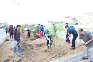 Phường Hoành Bồ phát động triển khai tuyến đường hoa