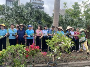 Phường Hà Tu ra mắt tuyến đường hoa