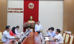 Đánh giá kết quả công tác triển khai phương án trồng thay thế, bổ sung hệ thống cây bóng mát, cây xanh cảnh quan, cây có hoa; hướng dẫn về công tác bầu cử Trưởng thôn, khu phố nhiệm kỳ 2025 - 2027