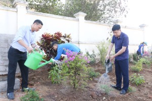 Phường Hà Khẩu trồng gần 1700 cây hoa, cây xanh
