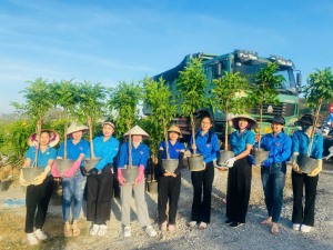 Hạ Long - Thành phố của hoa