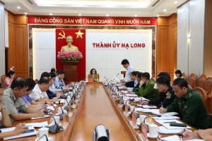 Tổng kết công tác nội chính năm 2024, triển khai nhiệm vụ năm 2025