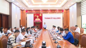 Khẩn trương thay thế, bổ sung cây bóng mát, cây xanh cảnh quan, cây có hoa gắn với thực hiện đề án “Hạ long - thành phố của hoa”; Phát động phong trào thi đua cao điểm hoàn thành các công trình chào mừng đại hội đảng bộ các cấp nhiệm kỳ 2025 -2030.