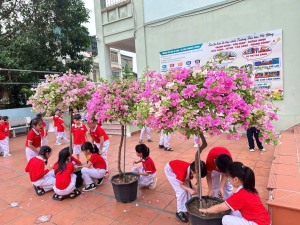 Hạ Long: Các trường học tích cực hưởng ứng đề án xây dựng thành phố của hoa.