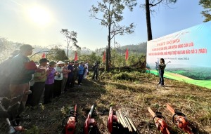 UBND phường Việt Hưng phát động ra quân dọn vệ sinh rừng, làn đường băng cản lửa, phòng cháy, chữa cháy rừng