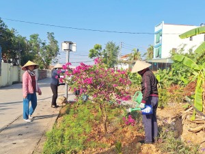 Phường Hà Khẩu ra quân chỉnh trang đô thị, trồng bổ sung, thay thế cây bóng mát, cây xanh cảnh quan, cây có hoa chào mừng bầu cử trưởng thôn, khu phố.