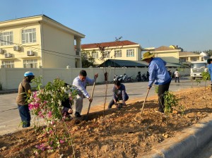 Hội nông dân triển khai tuyến đường hoa