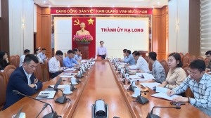 Chuẩn bị khởi công Dự án “Cải tạo, xây dựng lại khu chung cư cũ lô 6, 7, 8 phường Trần Hưng Đạo” 