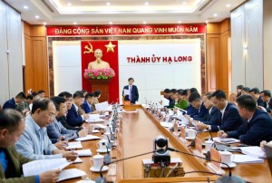 Ban Thường vụ Thành uỷ nghe, cho ý kiến vào một số nội dung quan trọng