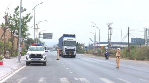 Kiên quyết xử lý việc vận chuyển kinh doanh dăm gỗ ảnh hưởng môi trường