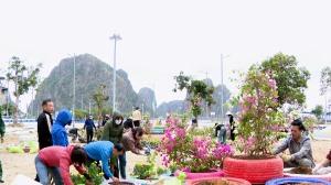 Phường Hồng Gai trồng cây xanh, cây có hoa, tạo cảnh quan chào mừng bầu cử trưởng thôn, khu phố.