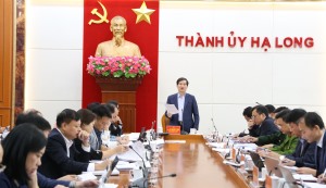 TP Hạ Long sẽ kết thúc nhiệm vụ và điều chỉnh tên, hoạt động của một số Ban Chỉ đạo do Ban Thường vụ Thành uỷ quyết định thành lập