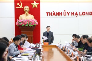 BTV Thành ủy cho ý kiến vào đồ án quy hoạch các phân khu phía bắc Vịnh Cửa Lục