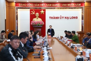 Quy hoạch khu vực Công ty CP xuất nhập khẩu Thủy sản Quảng Ninh, Công ty CP vận tải khách thủy Quảng Ninh thành trung tâm dịch vụ du lịch