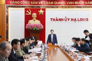Thường trực Thành ủy nghe và cho ý kiến vào nhiều nội dung quan trọng