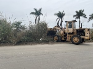 Doanh nghiệp, người dân cùng chung tay vì một Hạ Long xanh, sạch đẹp